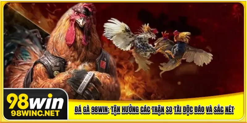 đá gà 98WIN