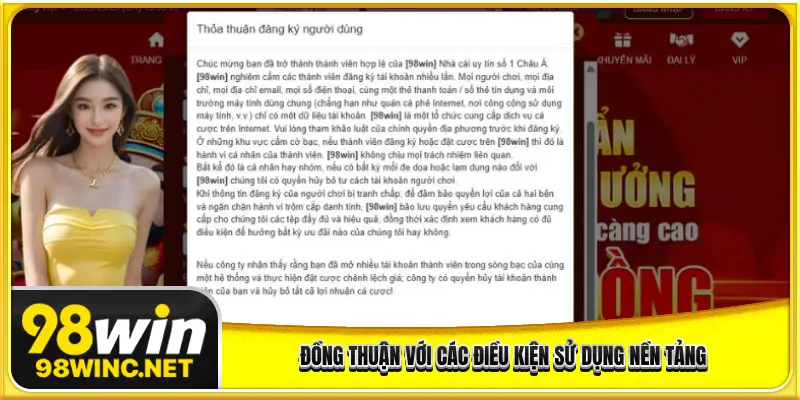Đồng thuận với các điều kiện sử dụng nền tảng