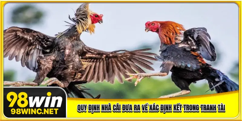 Quy định nhà cái đưa ra về xác định kết trong tranh tài